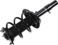 Suspension Strut and Coil Spring Assembly