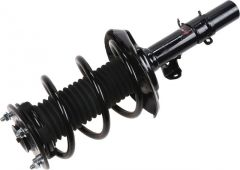 Suspension Strut and Coil Spring Assembly